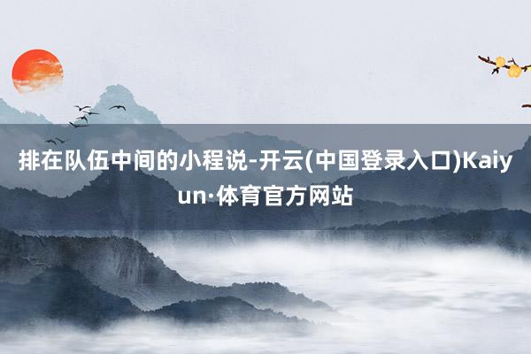 排在队伍中间的小程说-开云(中国登录入口)Kaiyun·体育官方网站