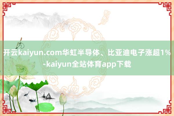 开云kaiyun.com华虹半导体、比亚迪电子涨超1%-kaiyun全站体育app下载