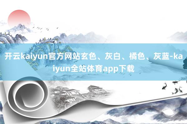 开云kaiyun官方网站玄色、灰白、橘色、灰蓝-kaiyun全站体育app下载