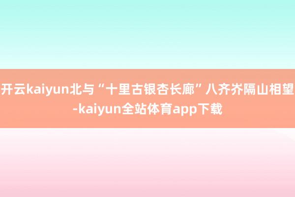 开云kaiyun北与“十里古银杏长廊”八齐岕隔山相望-kaiyun全站体育app下载