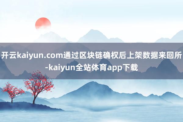 开云kaiyun.com通过区块链确权后上架数据来回所-kaiyun全站体育app下载
